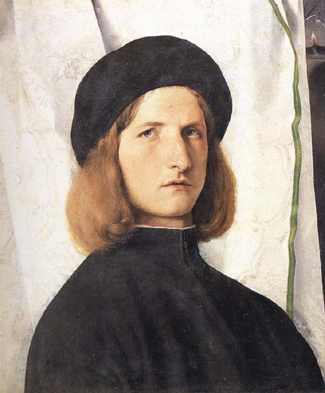 Lorenzo Lotto Portrait of a young man against a white curtain oil painting image